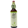 Fiori Di Bach Chestnut Bud 20ml