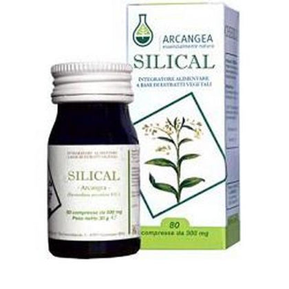 SILICAL 80 COMPRESSE