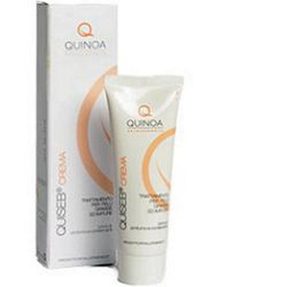 QUISEB CREMA ANTISEBOR 50ML