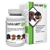 LEGART UP 60 COMPRESSE