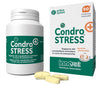 CONDROSTRESS + 90 COMPRESSE MASTIC