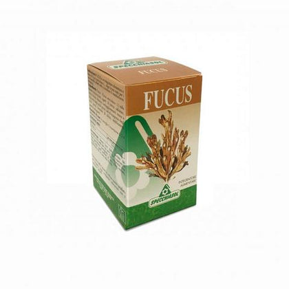 Fucus Erbe 150tav