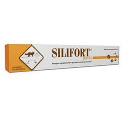 SILIFORT PASTA OS SIRINGA 15G