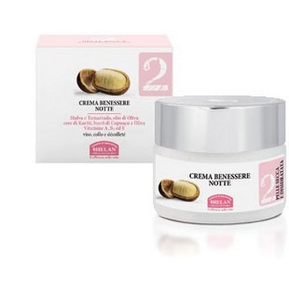 LINEA 2 CREMA BENESSERE NOTTE