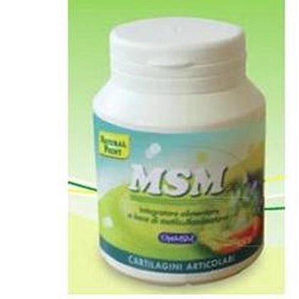 MSM POLVERE 100G