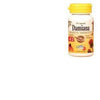 LONGLIFE DAMIANA 50 CAPSULE VEG