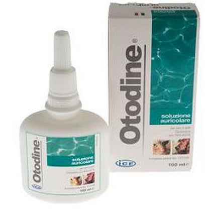 OTODINE DETERGENTE LIQUIDO 100ML