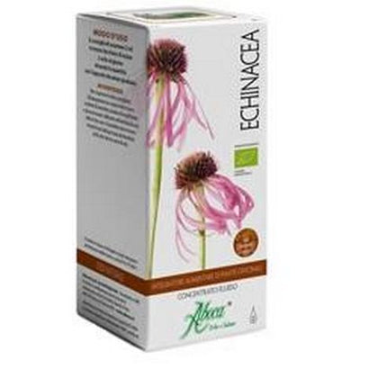 ECHINACEA PALLIDA MONOCONC 75M
