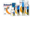 ENTEROFILUS MANG SEMPL 100ML